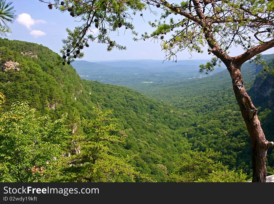 Cloudland Canyon 4