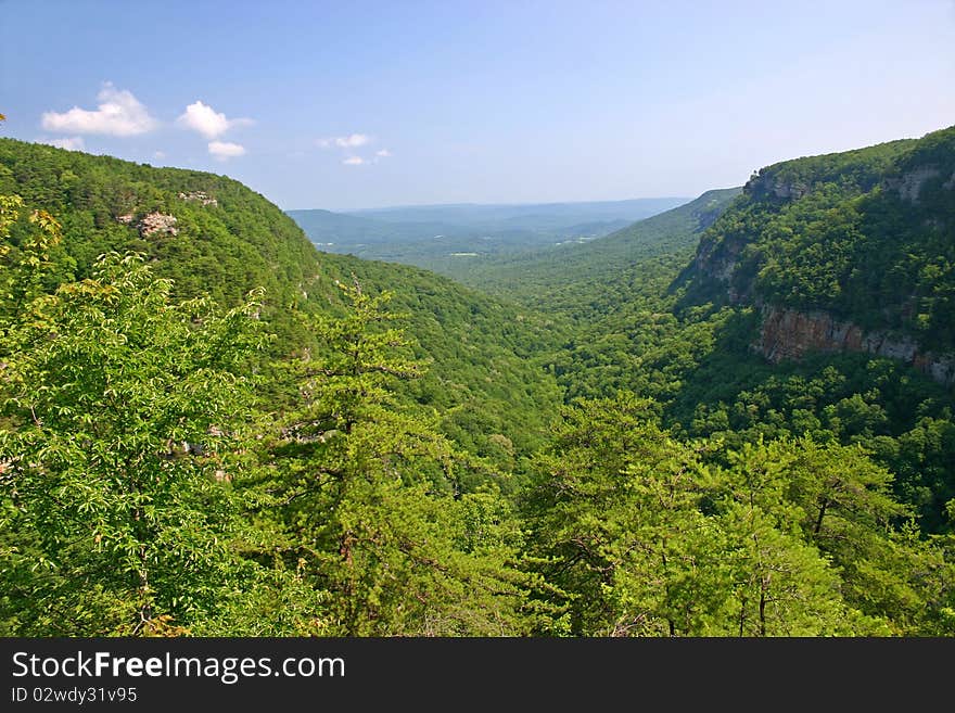 Cloudland Canyon 5