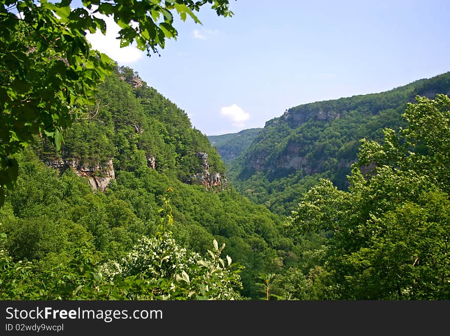 Cloudland Canyon 6