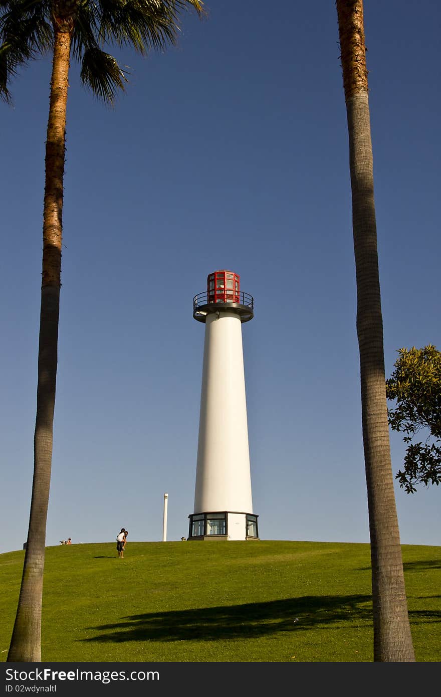 Lighthouse Through Palm Trees