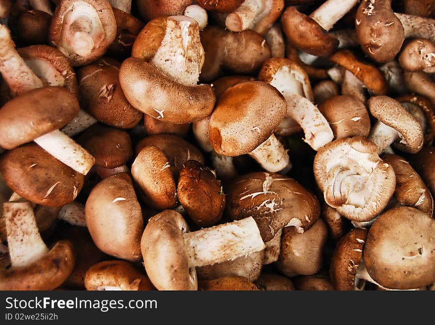 Many of Chinese mushroom in fresh market