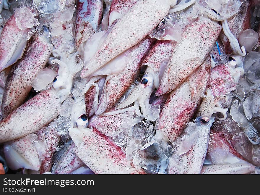 Many of raw squid in fresh market