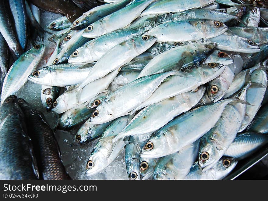 Many mackerel in fresh market