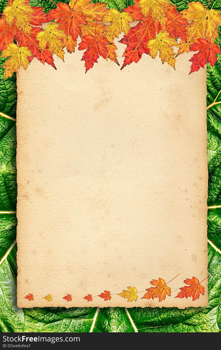 Autumn background with colored leaves on old paper