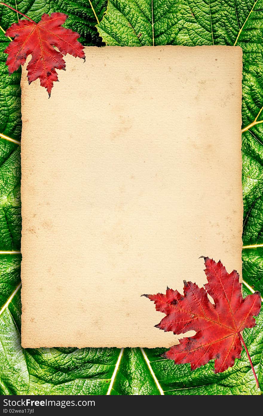 Autumn background with colored leaves on old paper