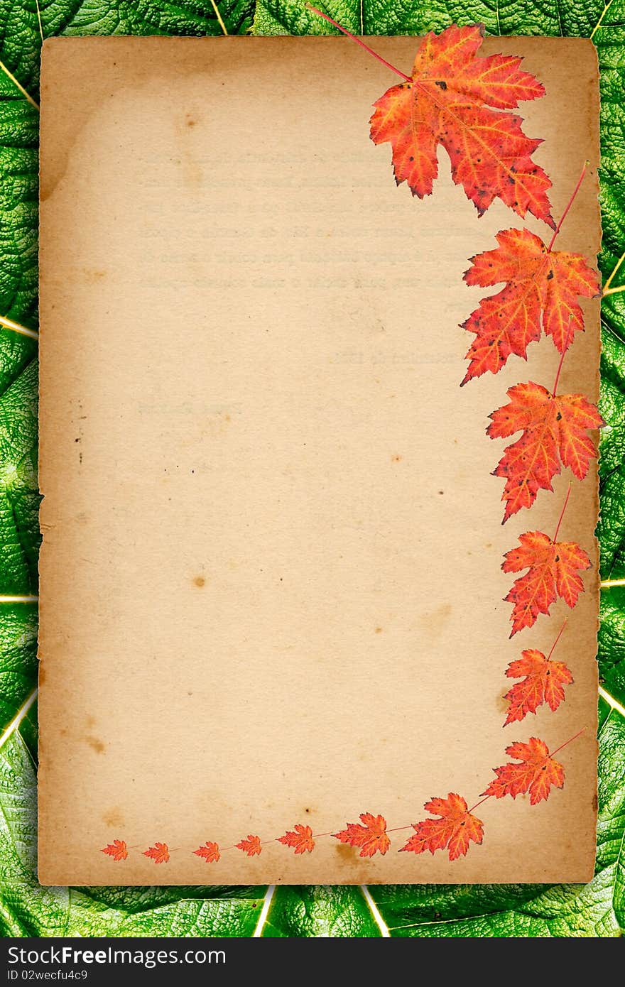 Autumn background with colored leaves on old paper