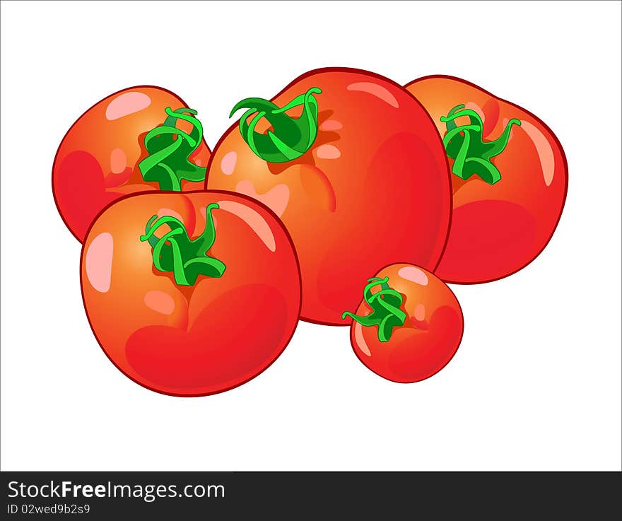 Vector illustration of harvest of red tomatoes