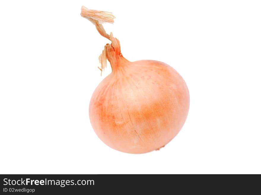 Onion on a white background