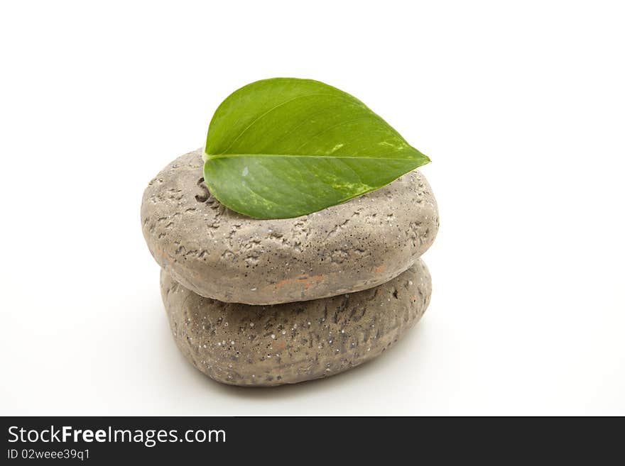 Green leaf onto stacked stones