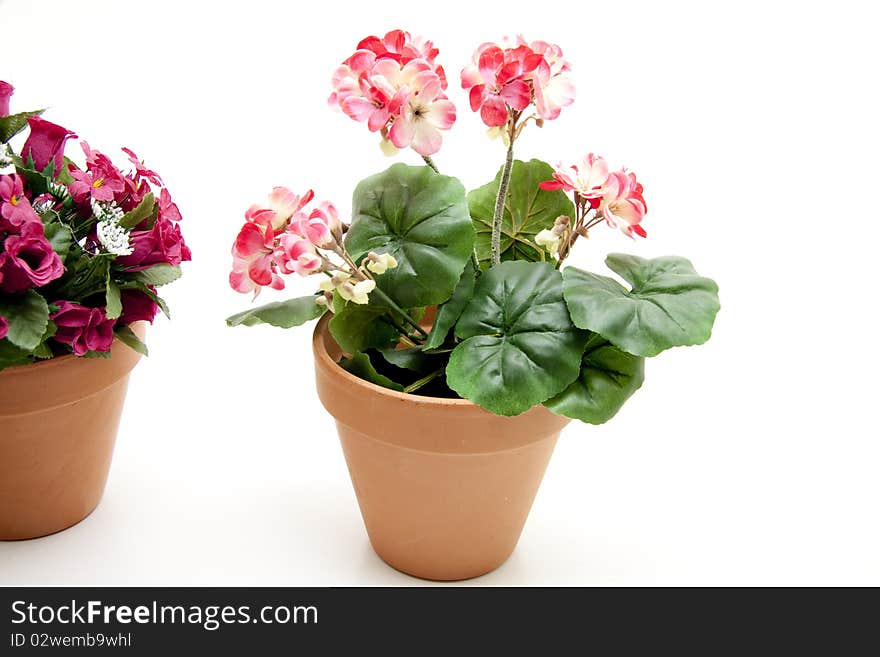 Flowerpots with flower