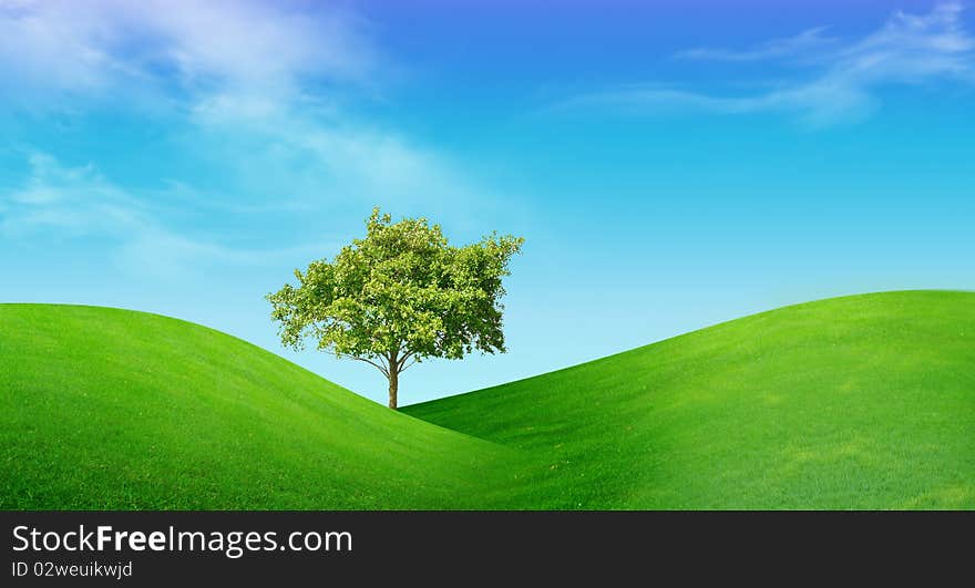 Spring landscape - green field, the blue sky, white clouds and lonely tree. Spring landscape - green field, the blue sky, white clouds and lonely tree