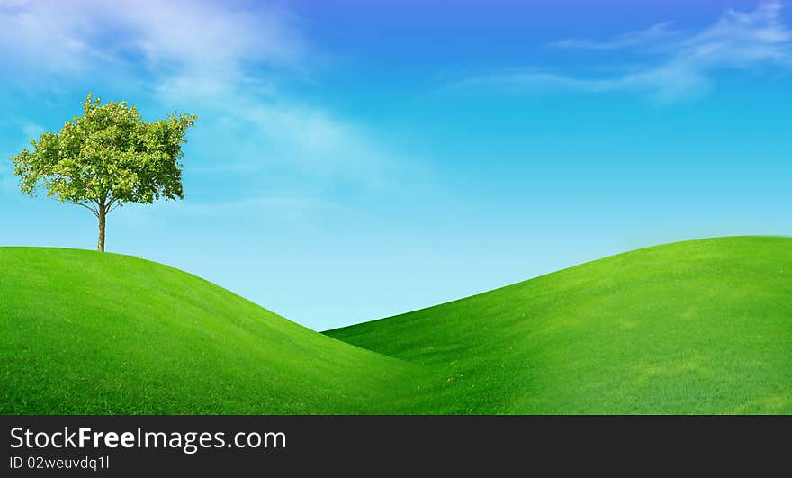 Summer landscape - green meadow, tree and blue sky. Summer landscape - green meadow, tree and blue sky