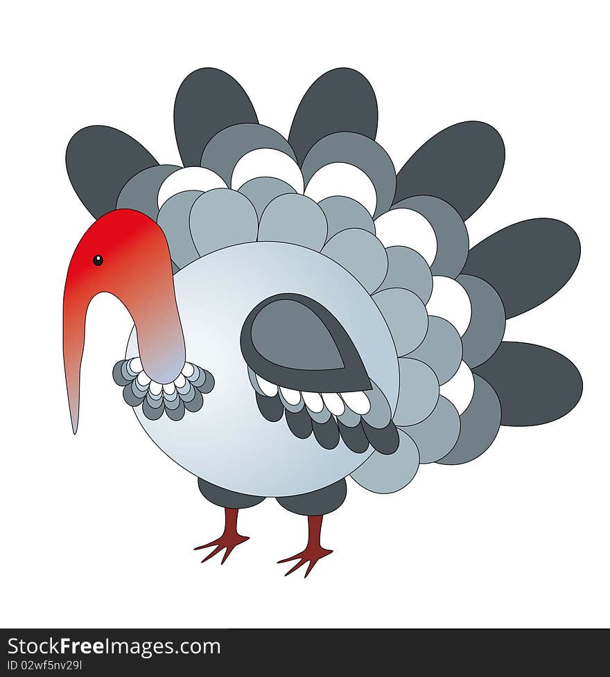 Turkey on a white background