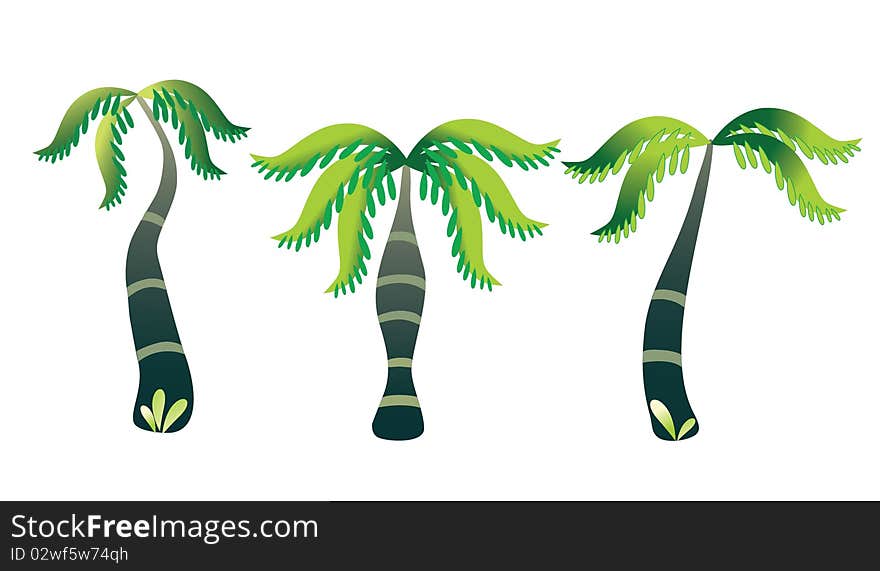 Three green palm on a white background