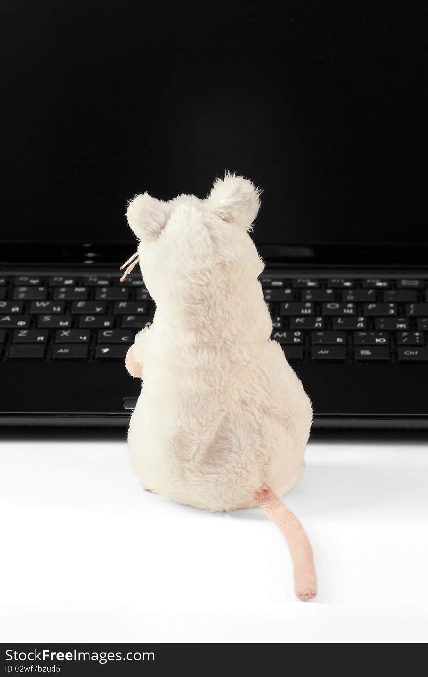 Laptop and a toy mouse on a white background. Laptop and a toy mouse on a white background