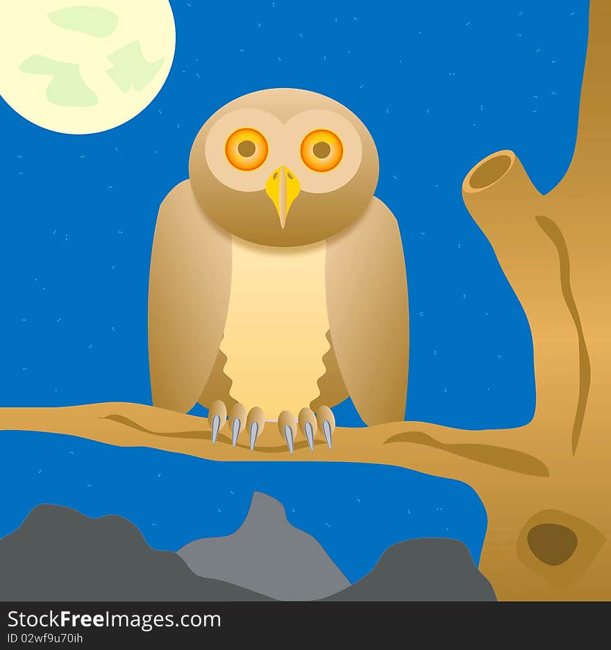 Owl sits on tree in the night