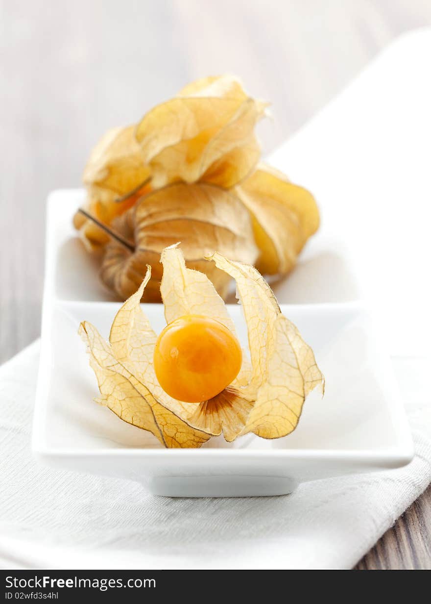 Physalis