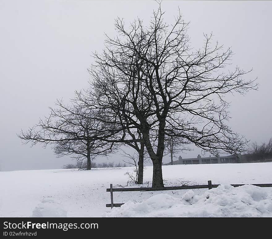 Snow covered ground with dormant trees and a wooden fence. Snow covered ground with dormant trees and a wooden fence.