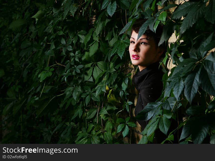 Young and attractive lady beside with brick wall, overgrown of vine leaves. Young and attractive lady beside with brick wall, overgrown of vine leaves