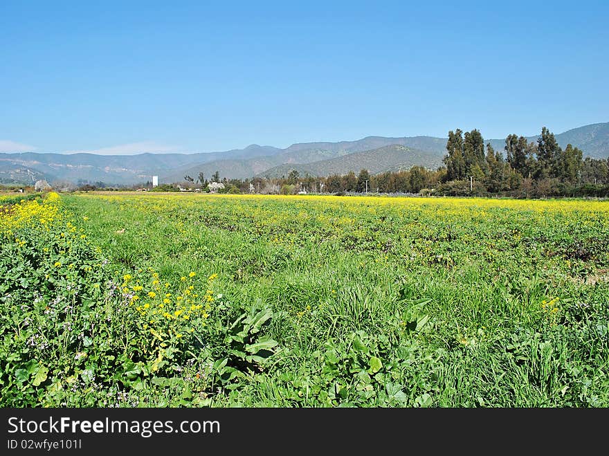 Farm landscape, small valley in the city of Santiago, chili