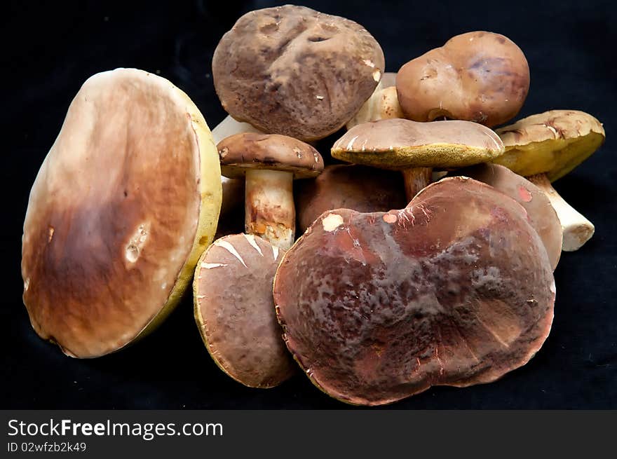 Mushrooms On The Black Background