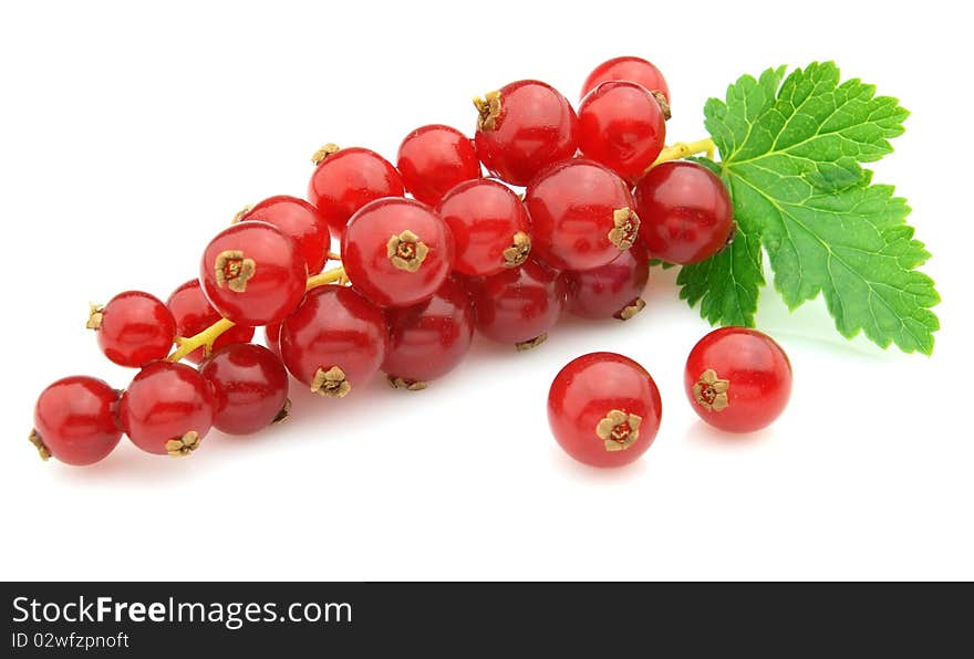 Ripe currant on a white background