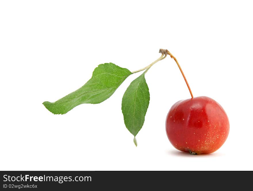 Chinese cherry apple with green leaf, isolated on white background. Chinese cherry apple with green leaf, isolated on white background.