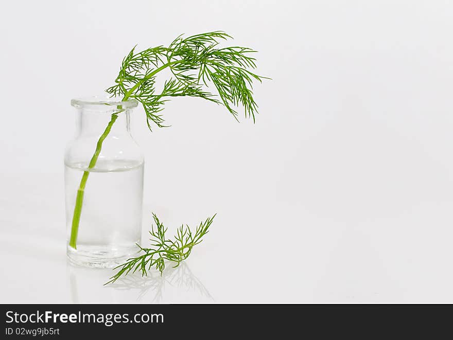 Dill sprig in small water bottle. Dill sprig in small water bottle