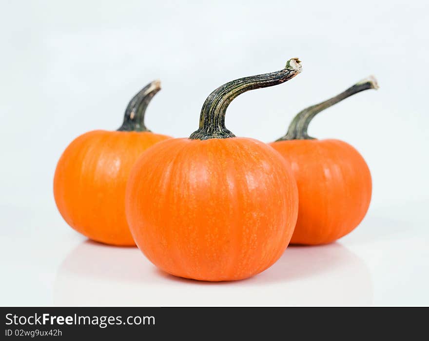 Three Pumpkins Isolated