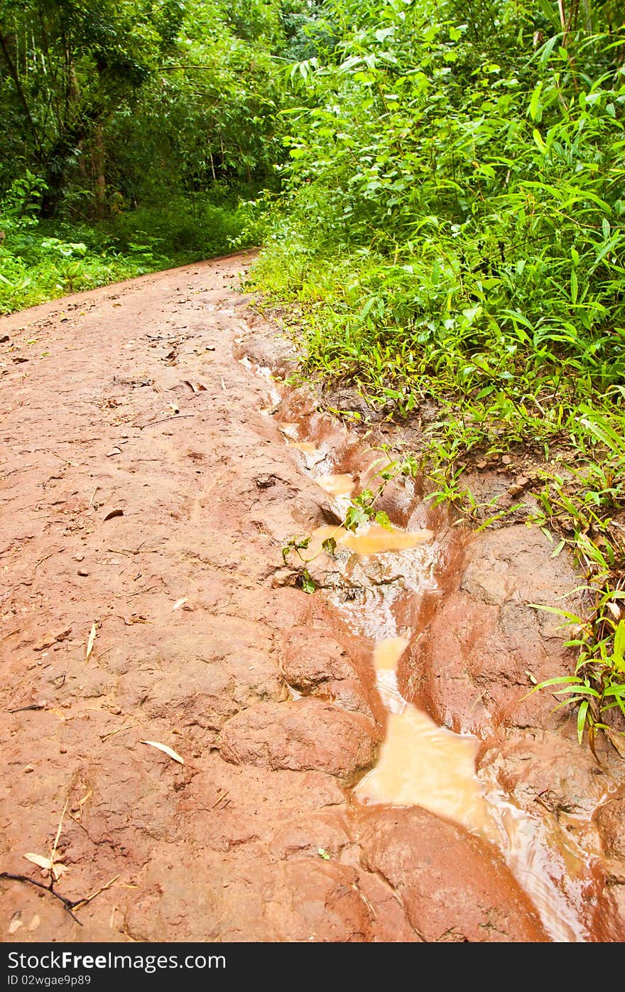 Watercourse at the way in the forest(to Thee Lor Sue Waterfall) Umphang, Thailand