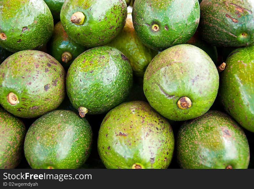 Group of the ripe avocado