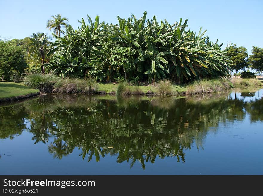 Reflection on a pond