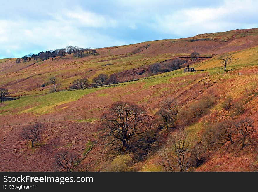 Scottish landscape with trees in Autumn. Scottish landscape with trees in Autumn