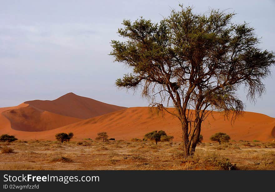 Namibian sand dunes