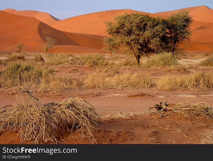 Namibian Sand Dunes