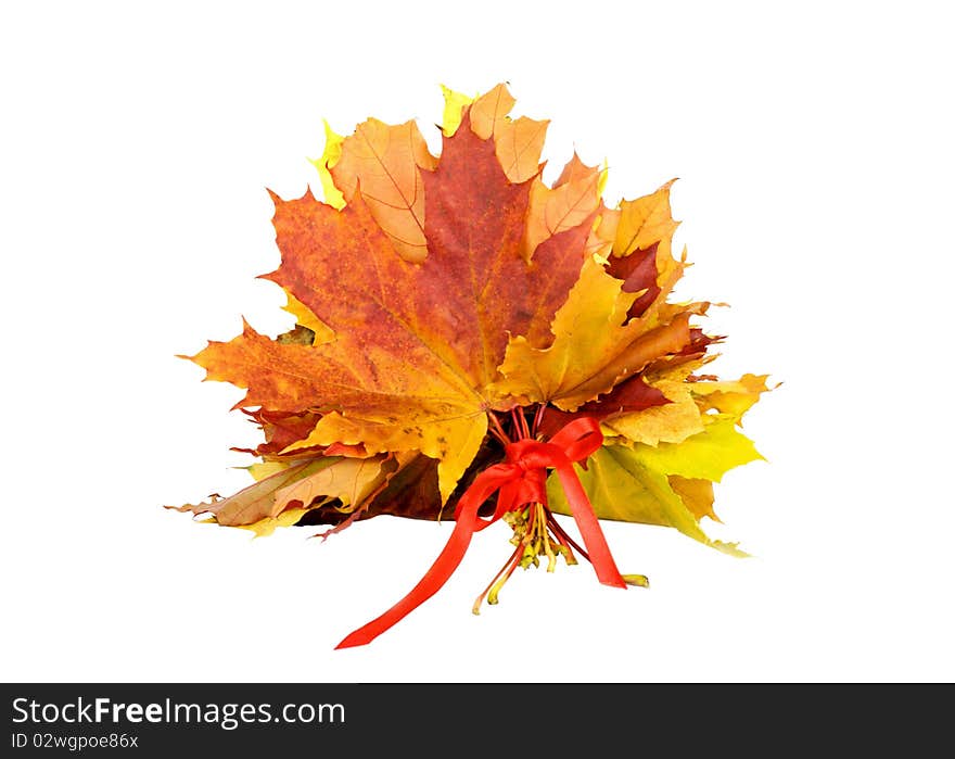 Bouquet of autumn leaves tied with red ribbon isolated on white