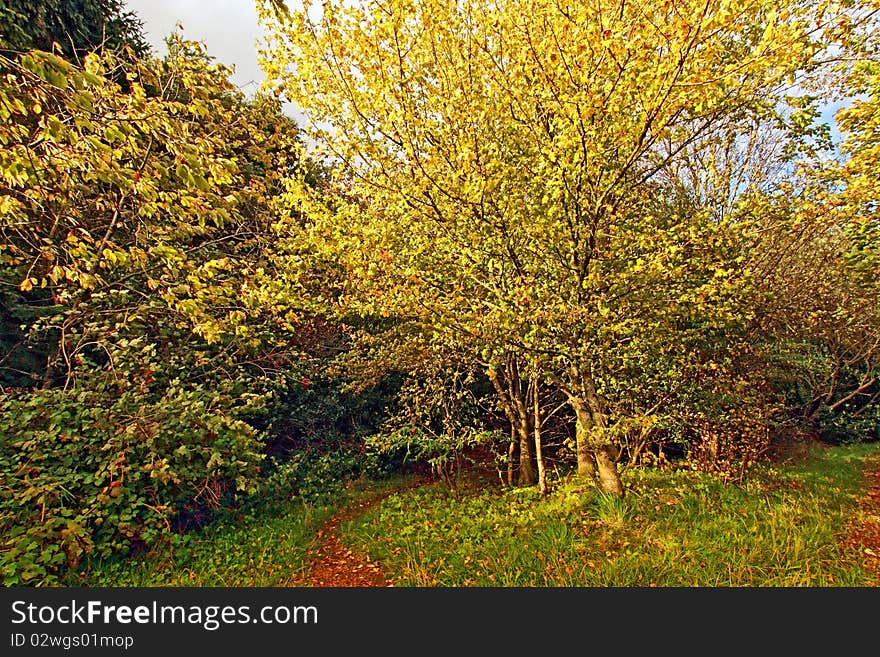 Beautiful Autumn In Scotland