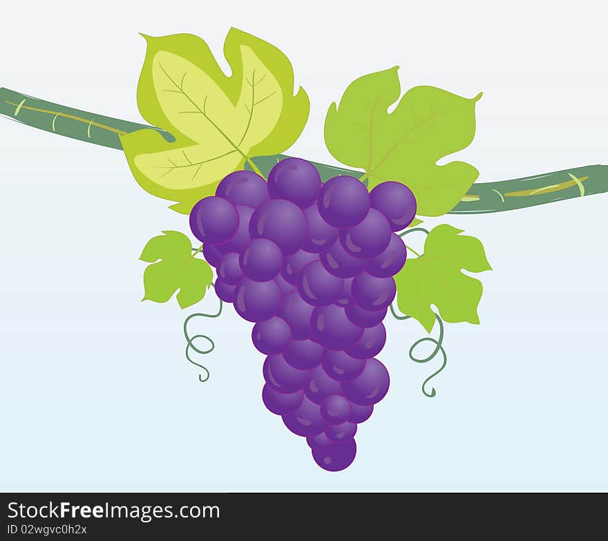 Grapes