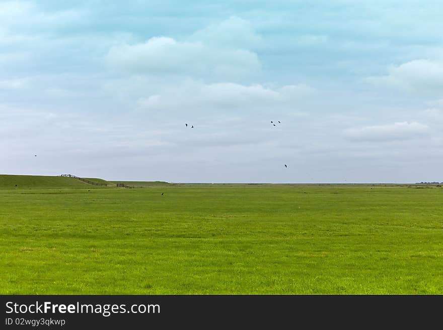 Green fields and grasslands of the Netherlands. Green fields and grasslands of the Netherlands.