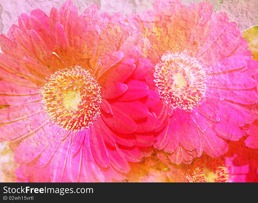 Gerbera - styled floral picture with patina texture. Gerbera - styled floral picture with patina texture