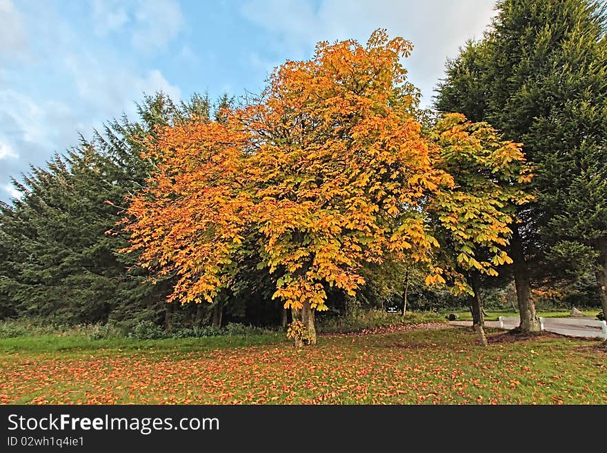 Beautiful autumn in Scotland