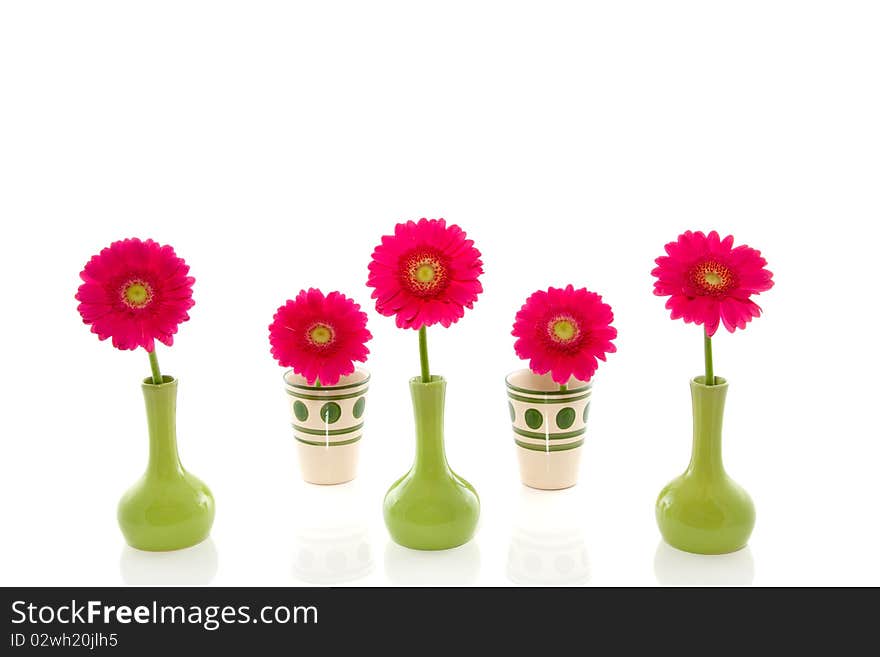 Pink gerber in five little green vases isolated on white background