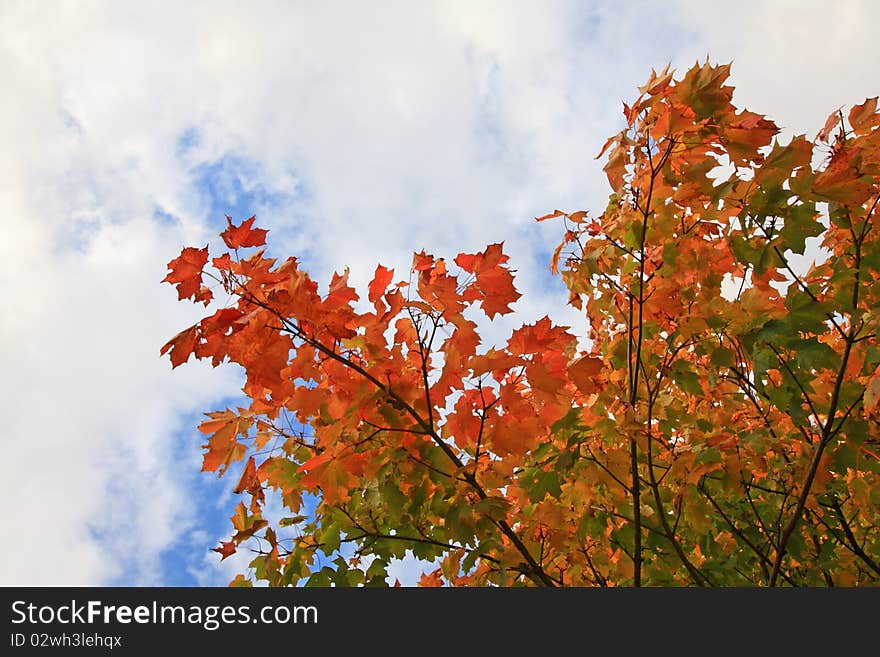 Beautiful autumn in Scotland, October