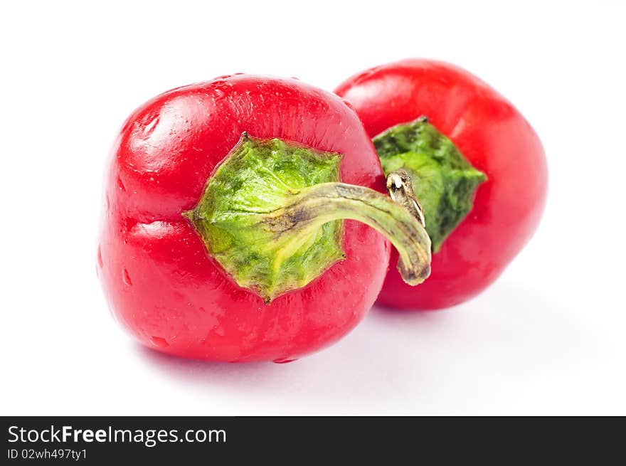 Very spicy chilli on white background