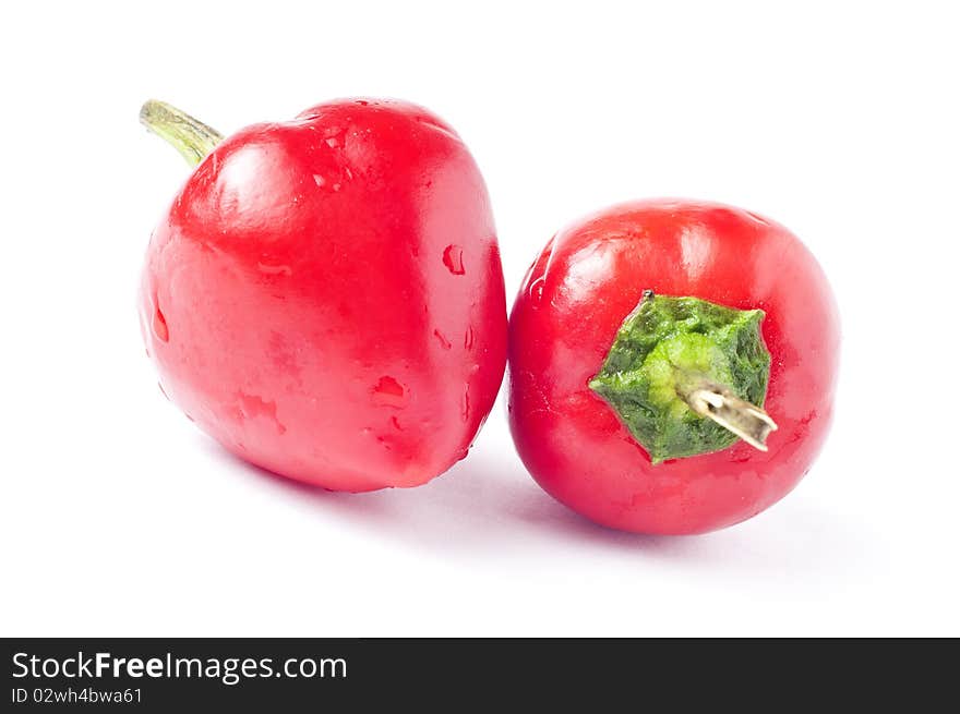 Chilli on white background