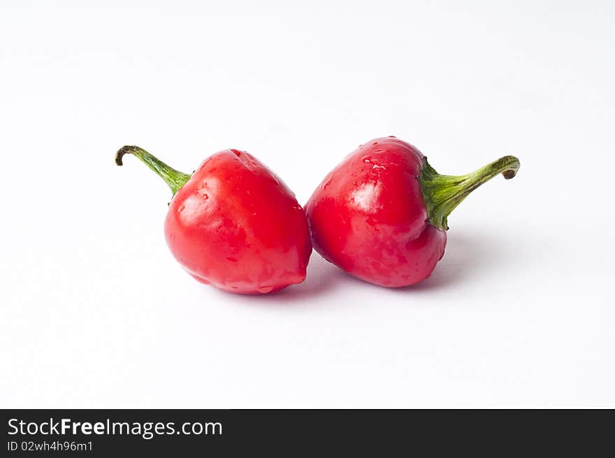 Chilli on white background