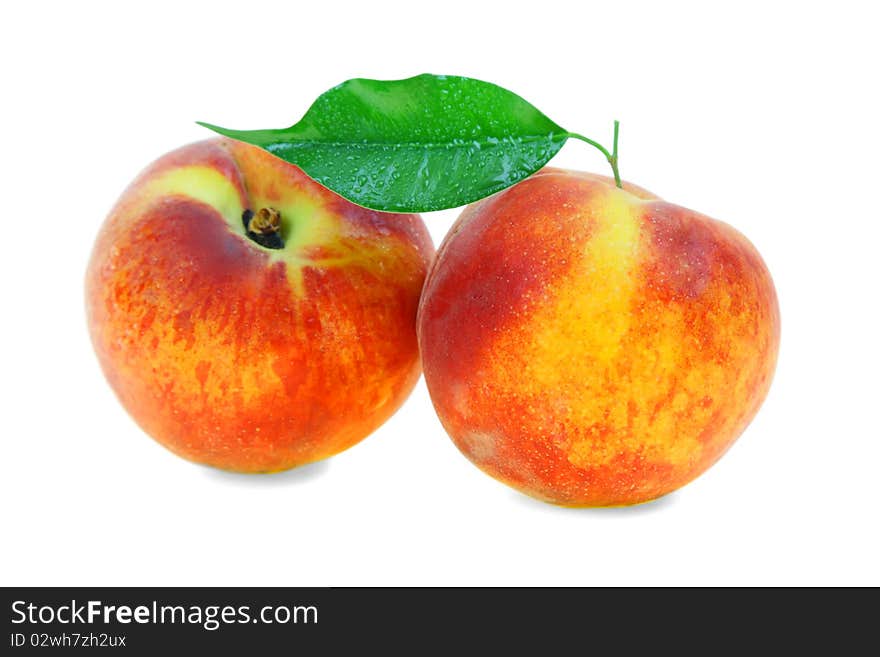 Two peach on a white background. Two peach on a white background