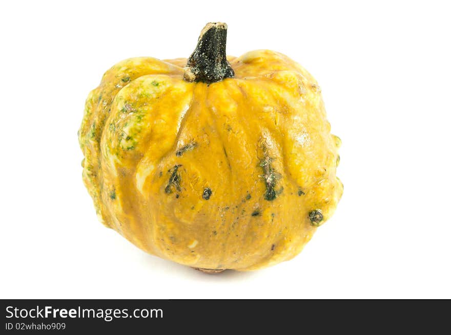 Pumpkin From Latin America