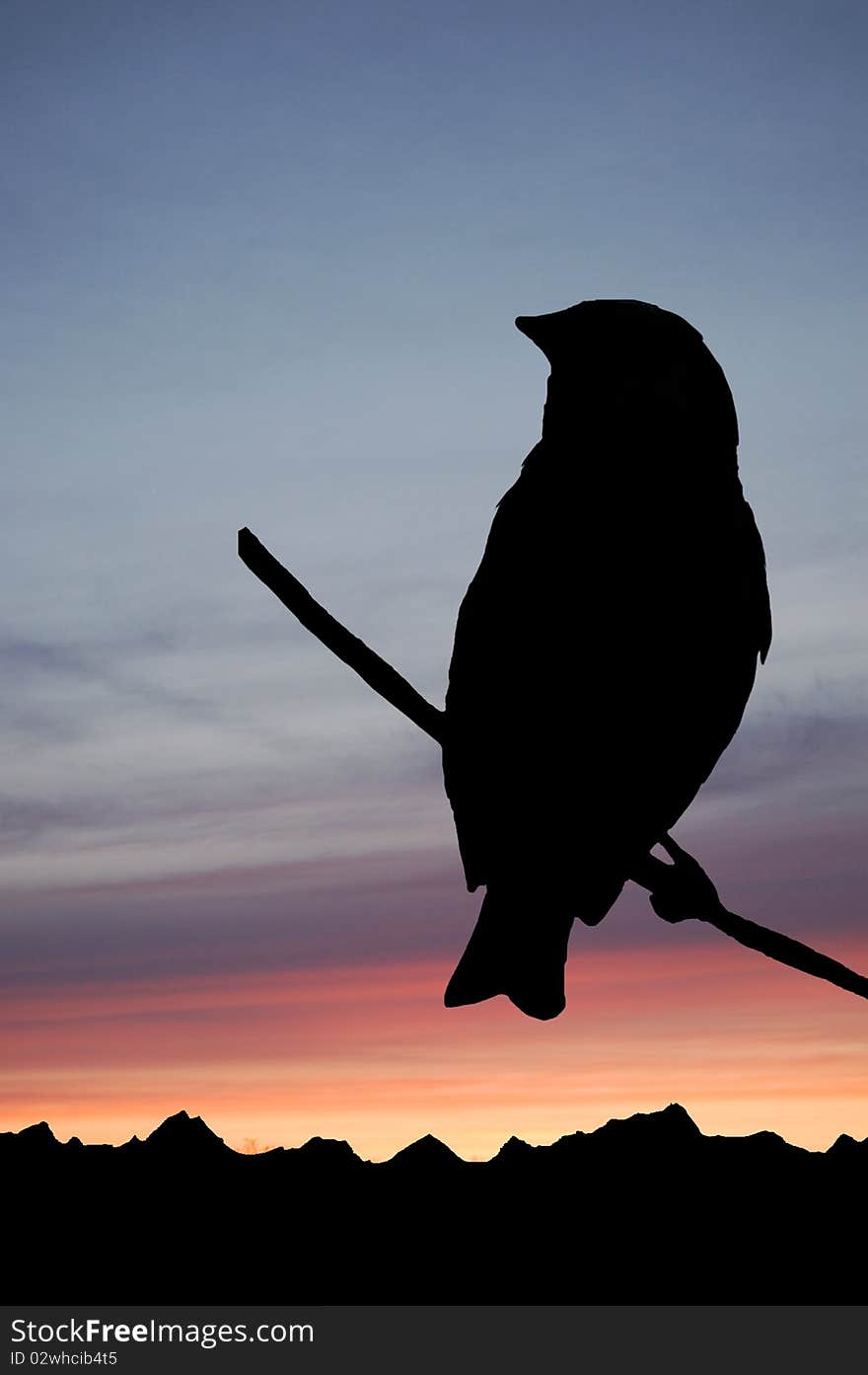 Lonely Bird at Sunset