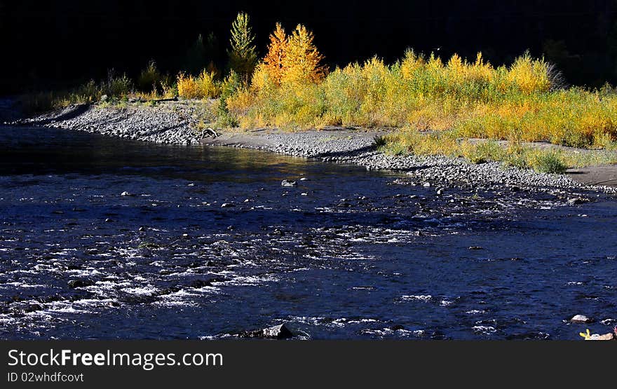 Bright colored autumn bushes by the running water